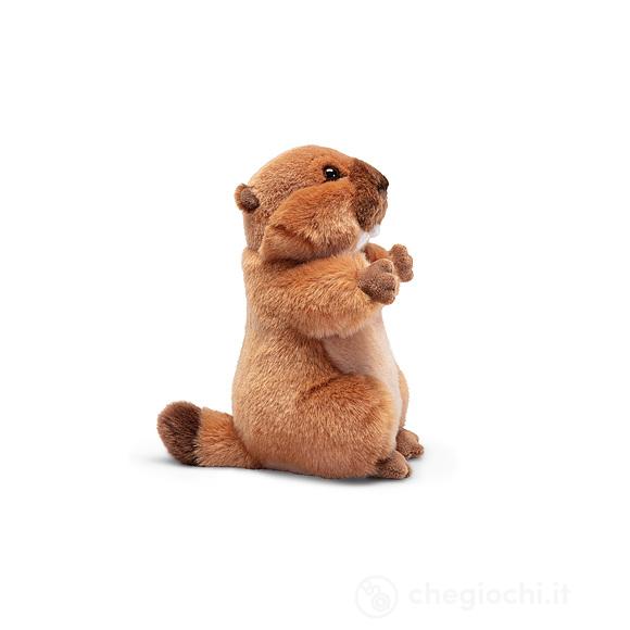 Marmotta S (24045)