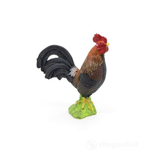 Gallo gallico (PAP51046)
