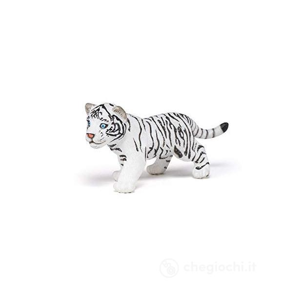 Cucciolo di tigre bianca (PAP50048)