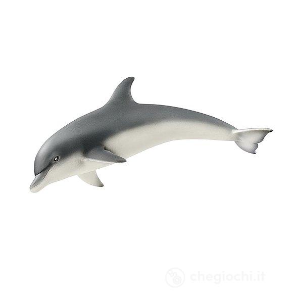 Delfino (2514808)
