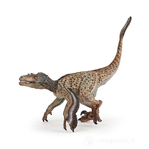 Velociraptor piumato (PAP55086)