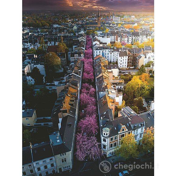 Bonn in fiore - Puzzle 1500 pezzi (17104)