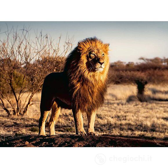 Il leone, re degli animali Puzzle 1500 pz (17107)