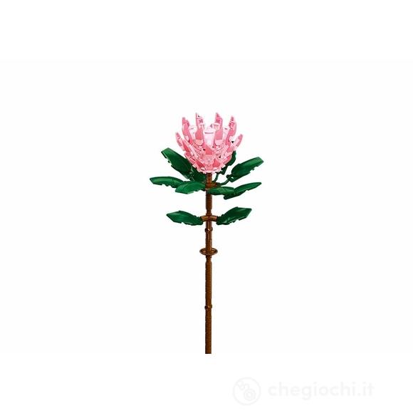 Costruzioni Fiore Protea Con Vaso (000103)