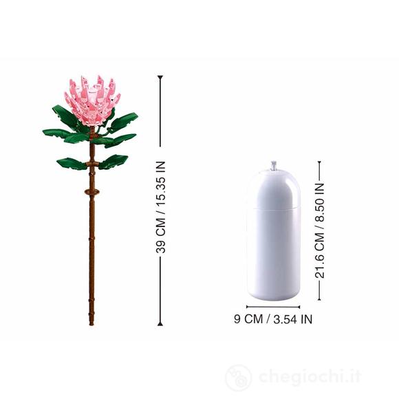 Costruzioni Fiore Protea Con Vaso (000103)