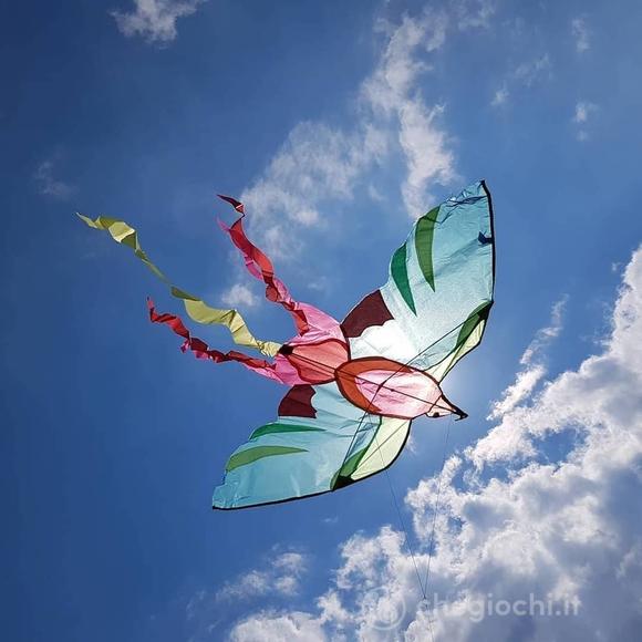 Aquilone Gigante Uccellino - Aujourd'hui C'est Mercredi