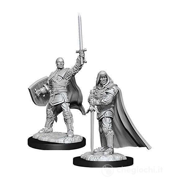 D&D Nolzur Mum Human Male Paladin 3