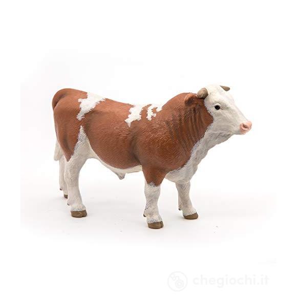 Simmental toro (PAP51142)