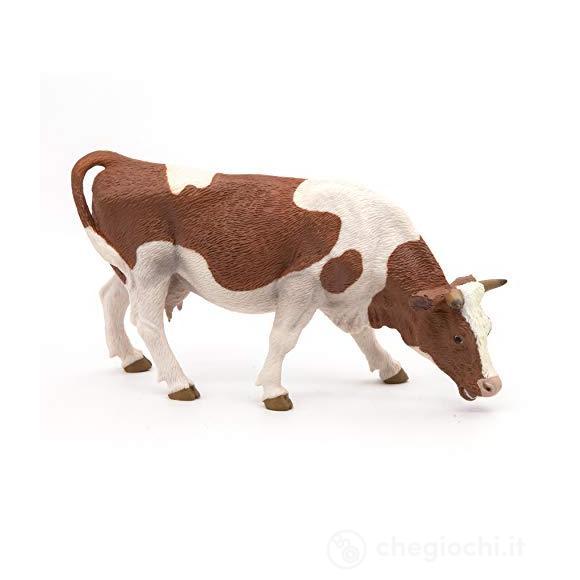 Mucca Simmental al pascolo (PAP51147)