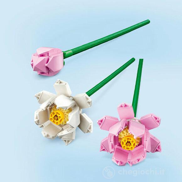 Fiori di Loto - Botanical Collection (40647)