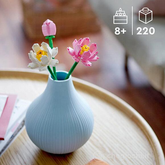 Fiori di Loto - Botanical Collection (40647)