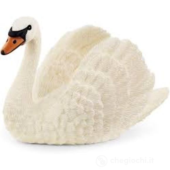 Cigno (2513921)