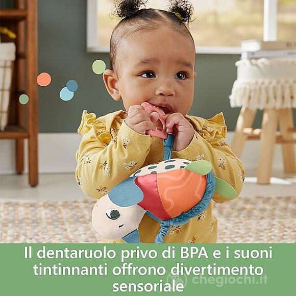 Tartarughina Dentaruolo Amici Del Pianeta (HKD62)