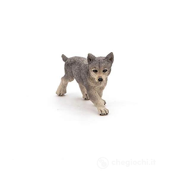 Cucciolo di lupo grigio (PAP50162)