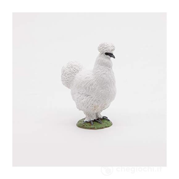 Pollo (PAP51169)