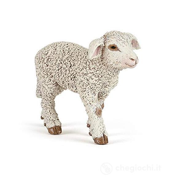 Agnello Merinos (PAP51176)