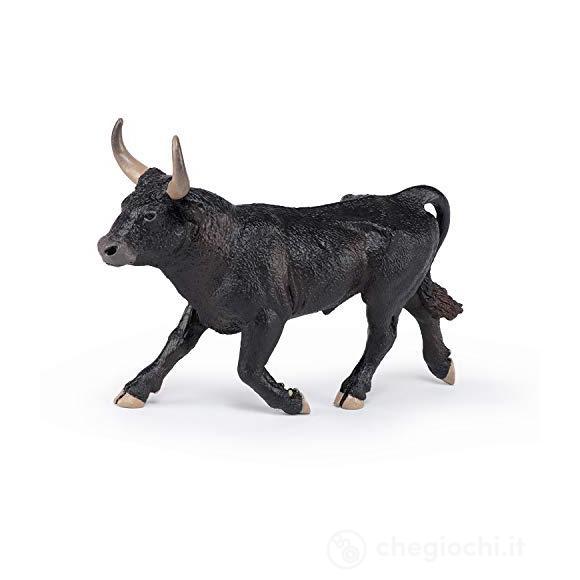 Toro camarghese (PAP51182)