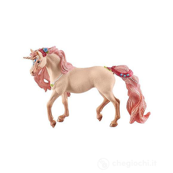 Unicorno Mare (2570573)