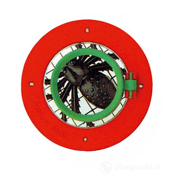 Lente ingranditore insetti