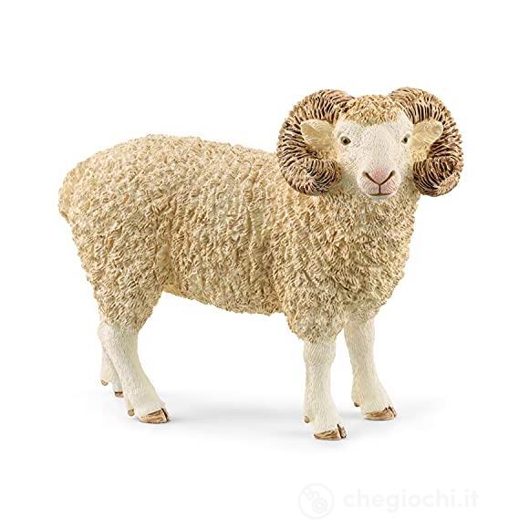 Ariete (2513937)
