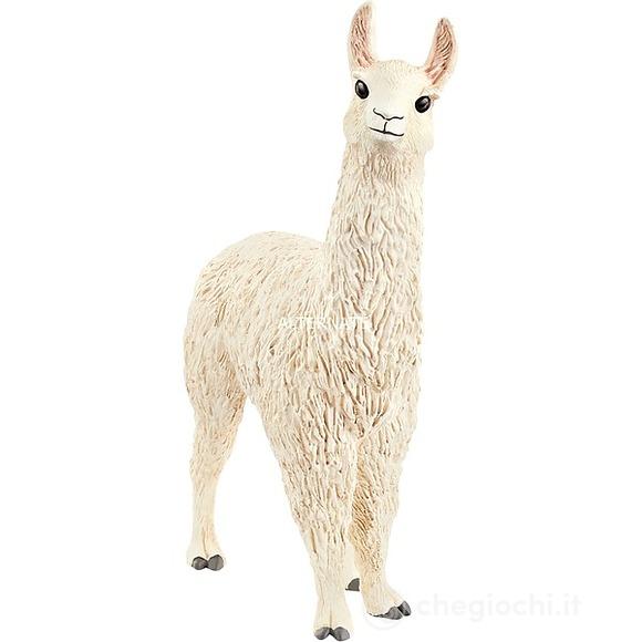 Lama (2513920)