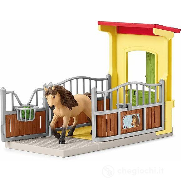Pony Box Con Stallone Islandese (42609)