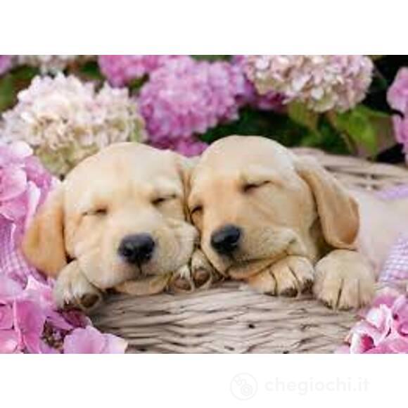Labrador sognanti 300 pezzi XXL (13235)