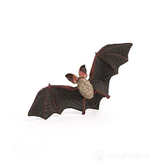Pipistrello (50239)