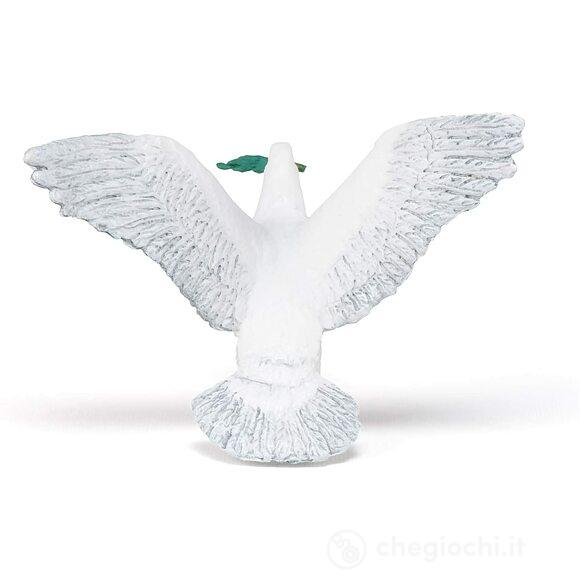 Colomba (50248)