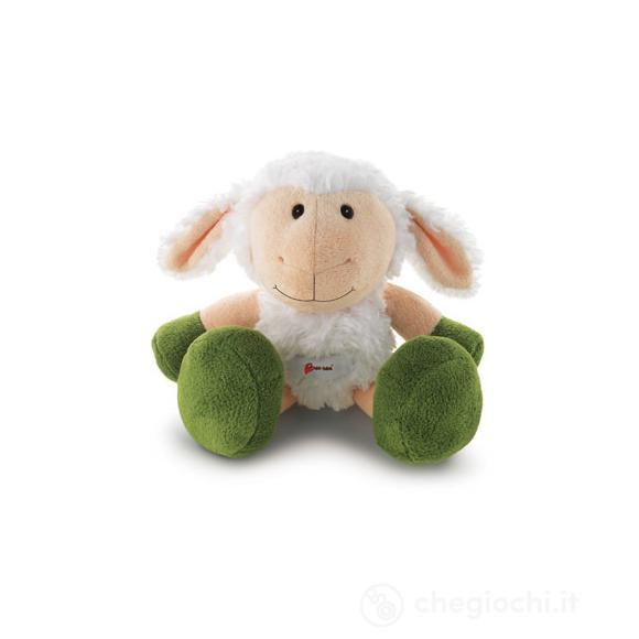 Agnello piccolo