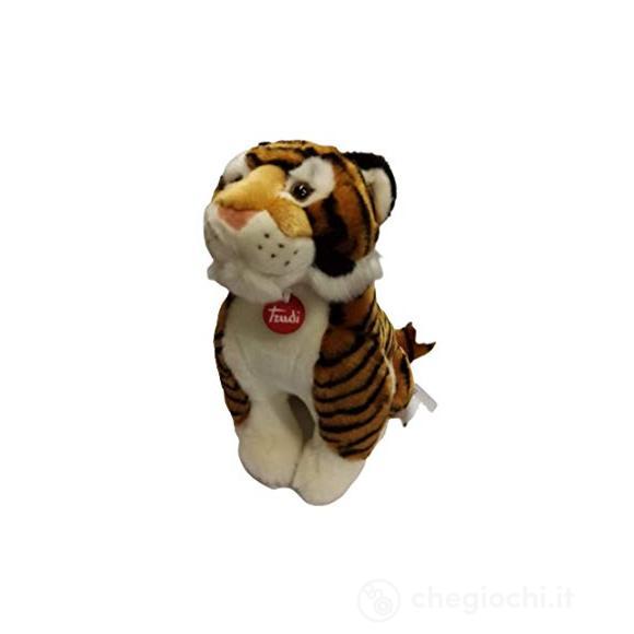 Tigre Bruce M (27137)