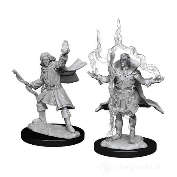 Pathfinder Dcum Elf Male Sorcerer 2