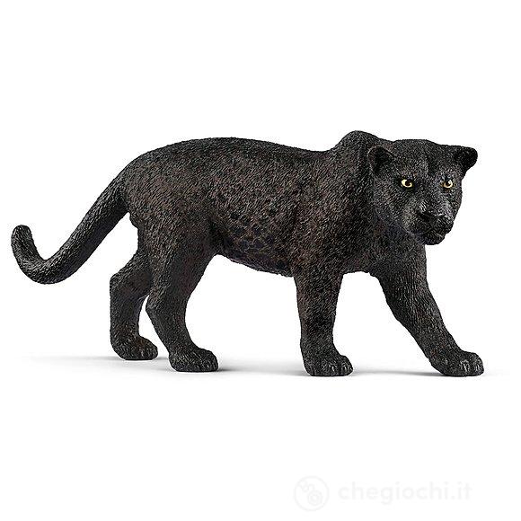 Pantera Nera (14774)