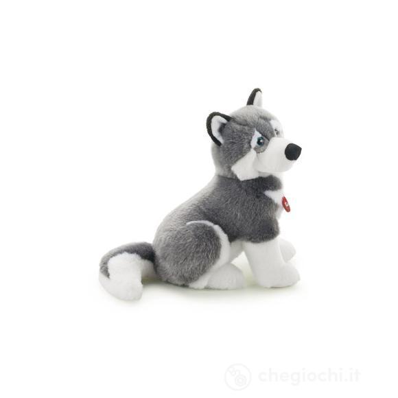 Husky Marcus