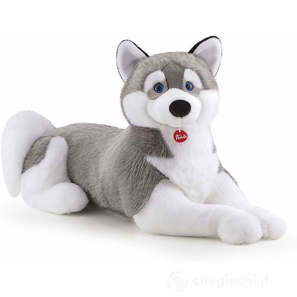 Husky Marcus JUMBO (22277)