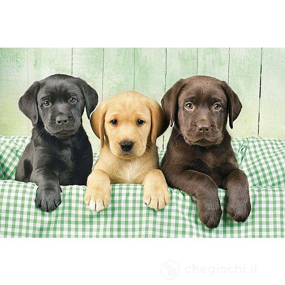 I tre Labrador 1000 pezzi High Quality Collection (39279)