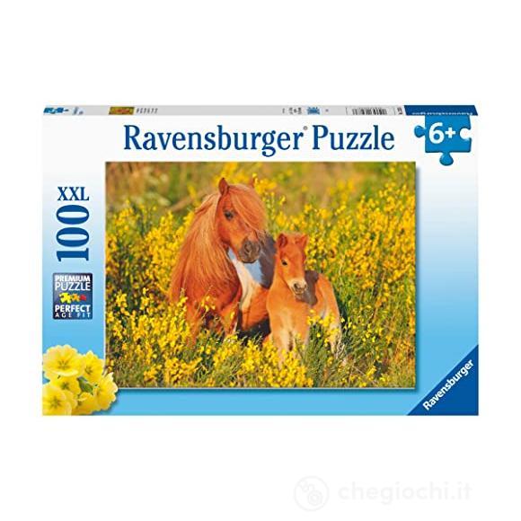 Pony Shetland - Puzzle 100 pezzi XXL (13283)