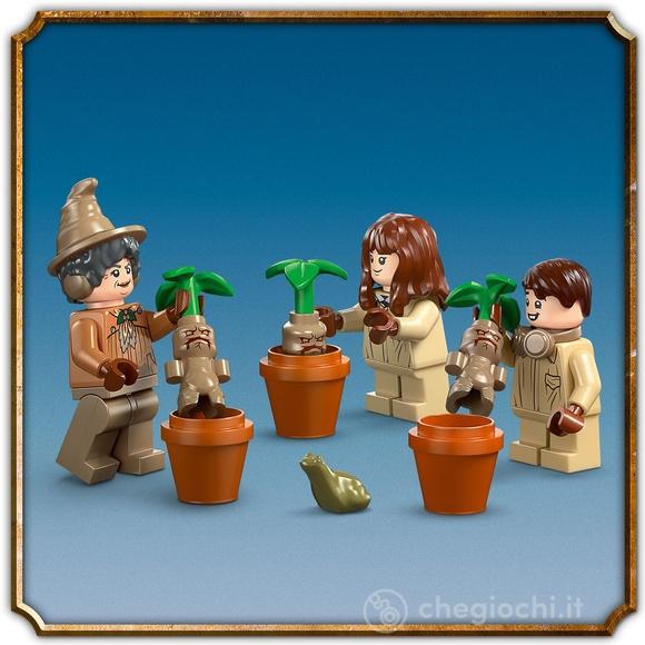 Castello di Hogwarts: lezione di erbologia (76445)