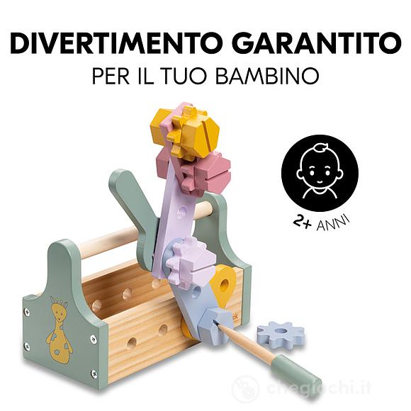 Cassetta Degli Attrezzi (81304)
