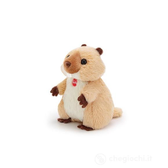 Marmotta XXS Sweet Collection (51304)
