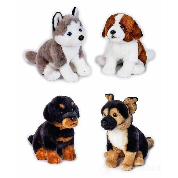 Pets Dogs Seduti 24 cm My Puppy Ass.to (642307)