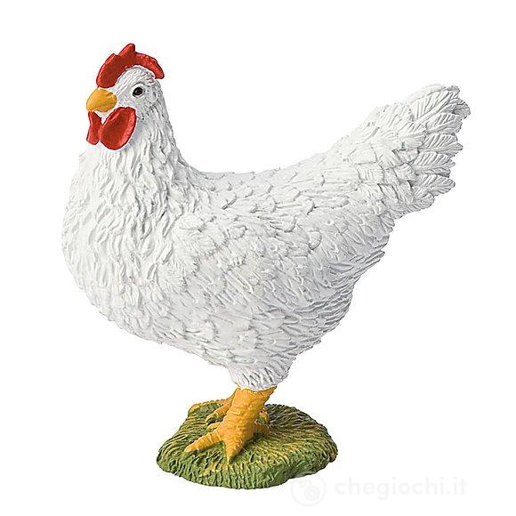 Gallina (62314)