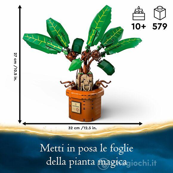 Mandragola (76433)