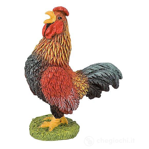 Gallo (62315)