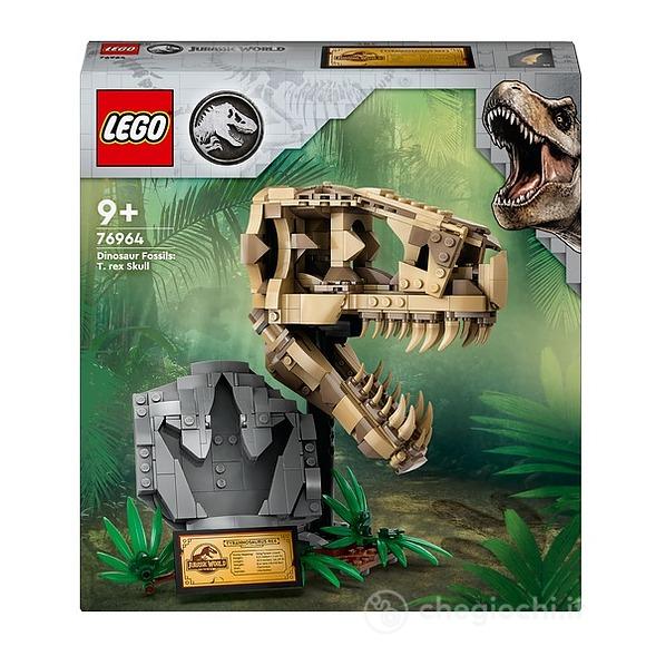 Fossili di dinosauro: Teschio di T.rex (76964)