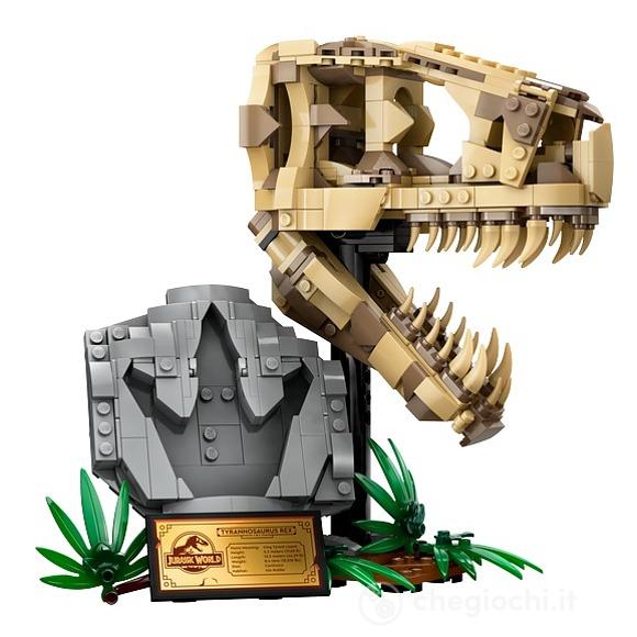 Fossili di dinosauro: Teschio di T.rex (76964)