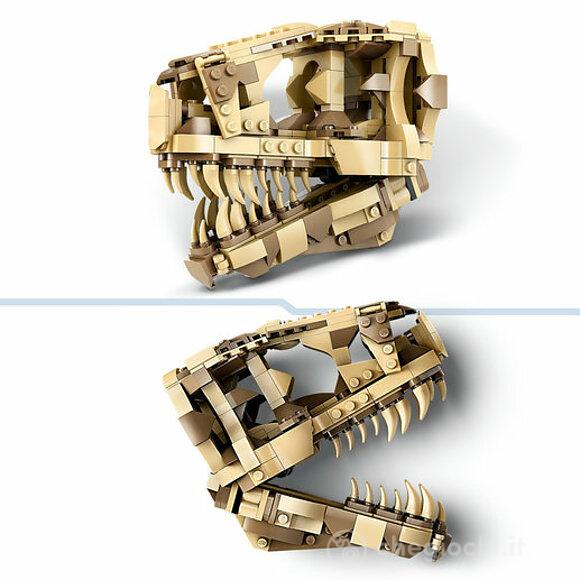 Fossili di dinosauro: Teschio di T.rex (76964)