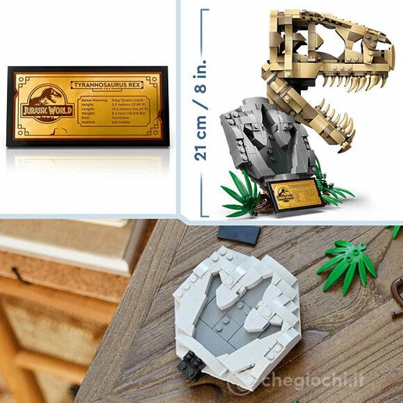 Fossili di dinosauro: Teschio di T.rex (76964)