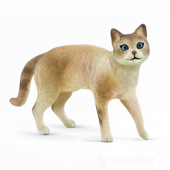 Siamese limited edition (2513932)