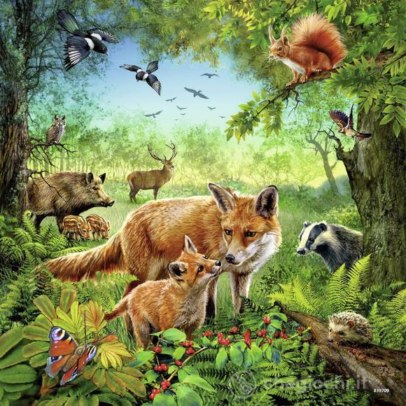 Animali del mondo (09330)